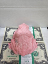 Giant Frog Cash Wax Melt