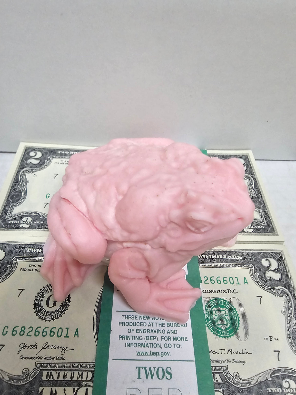 Giant Frog Cash Wax Melt