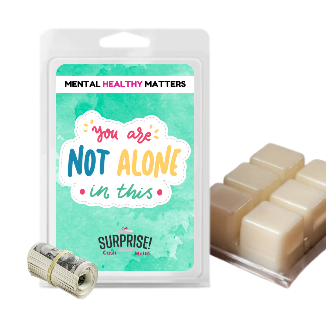 YOU ARE NOT ALONE IN THIS | MENTAL HEALTH CASH WAX MELTS