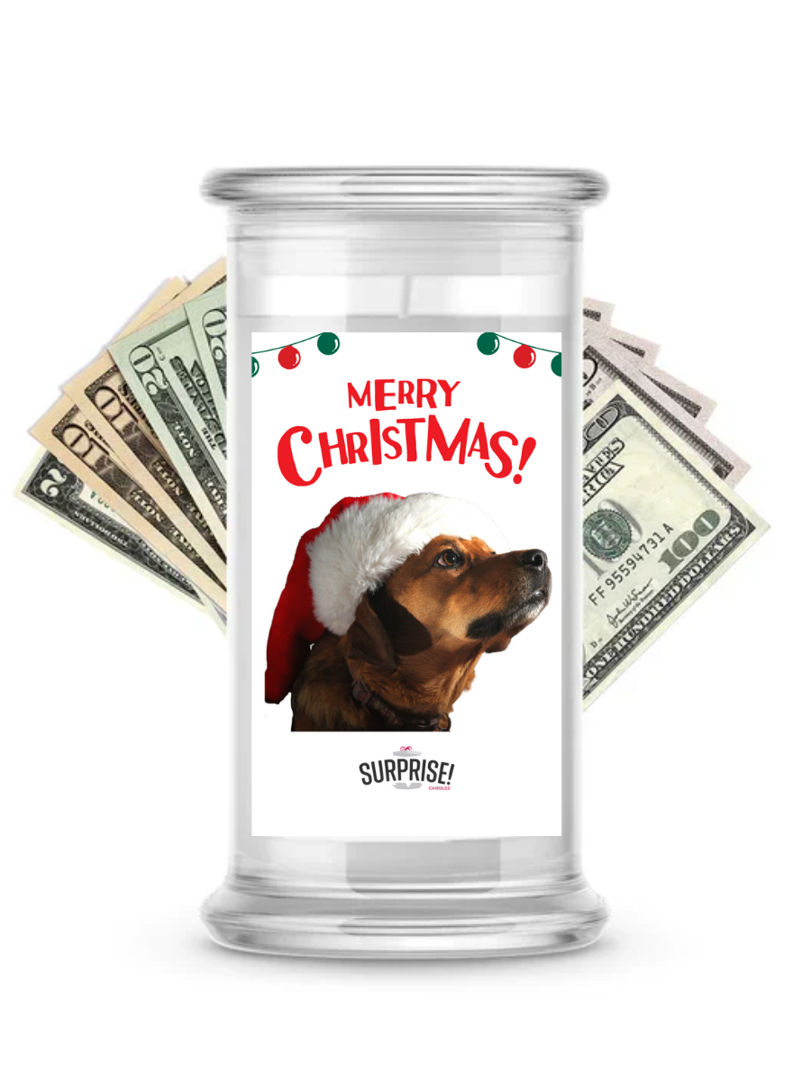 Merry Christmas Dog 4 | Christmas Surprise Cash Candles