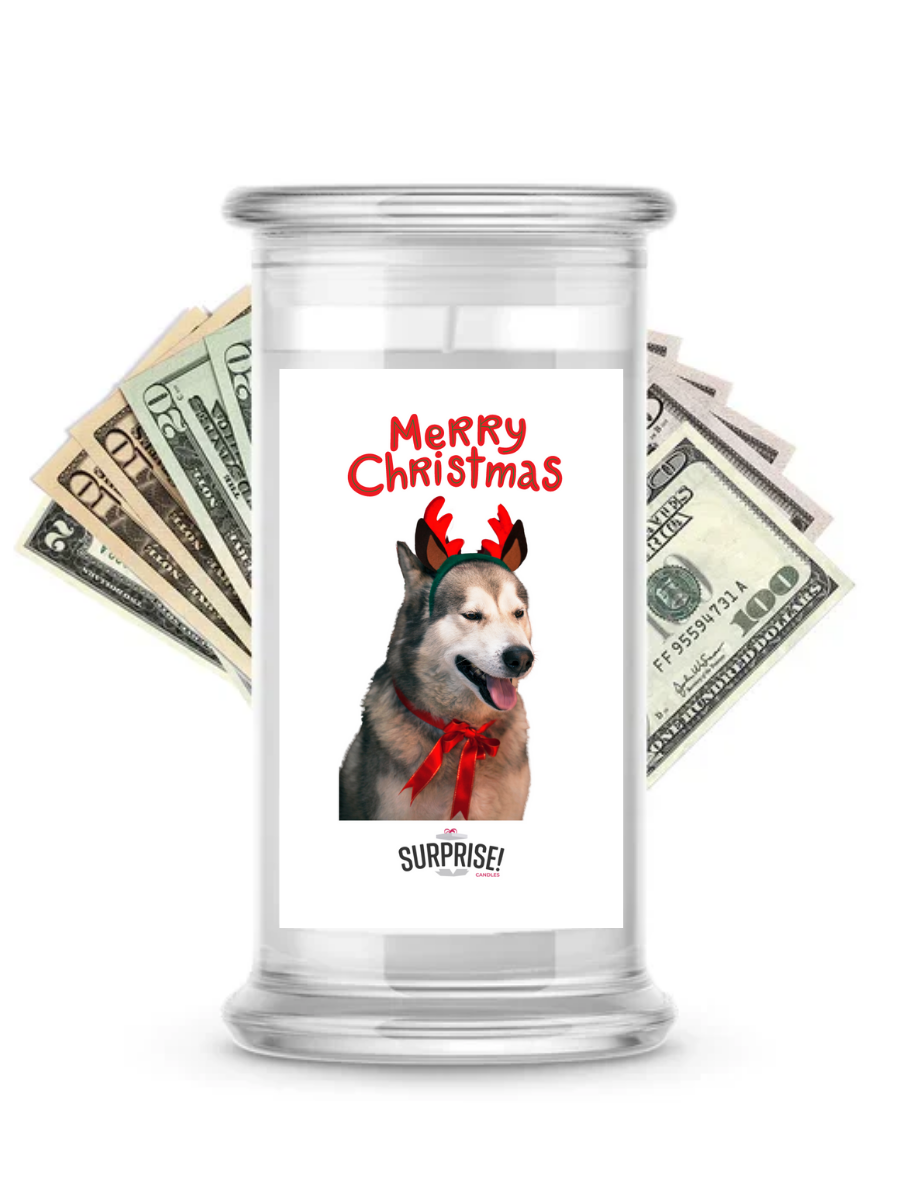 Merry Christmas Dog 7 | Christmas Surprise Cash Candles