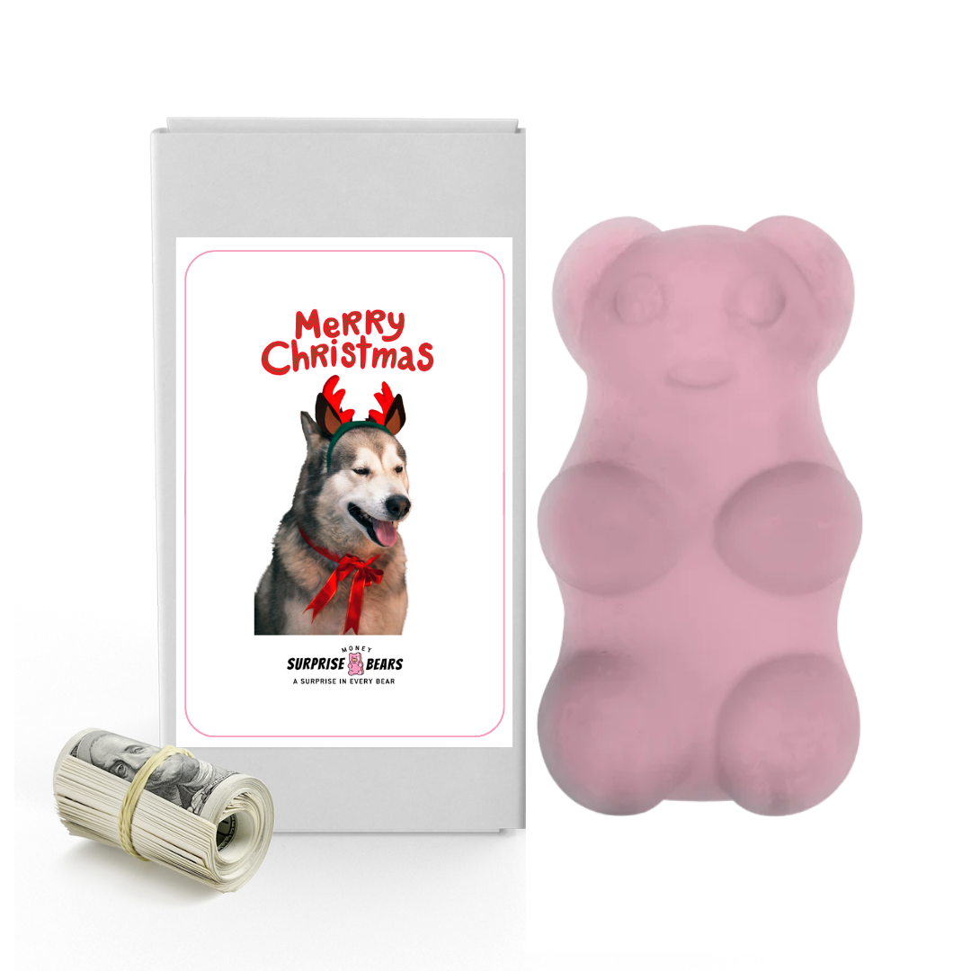 Merry Christmas Dog 7 | Christmas Surprise Cash Bears