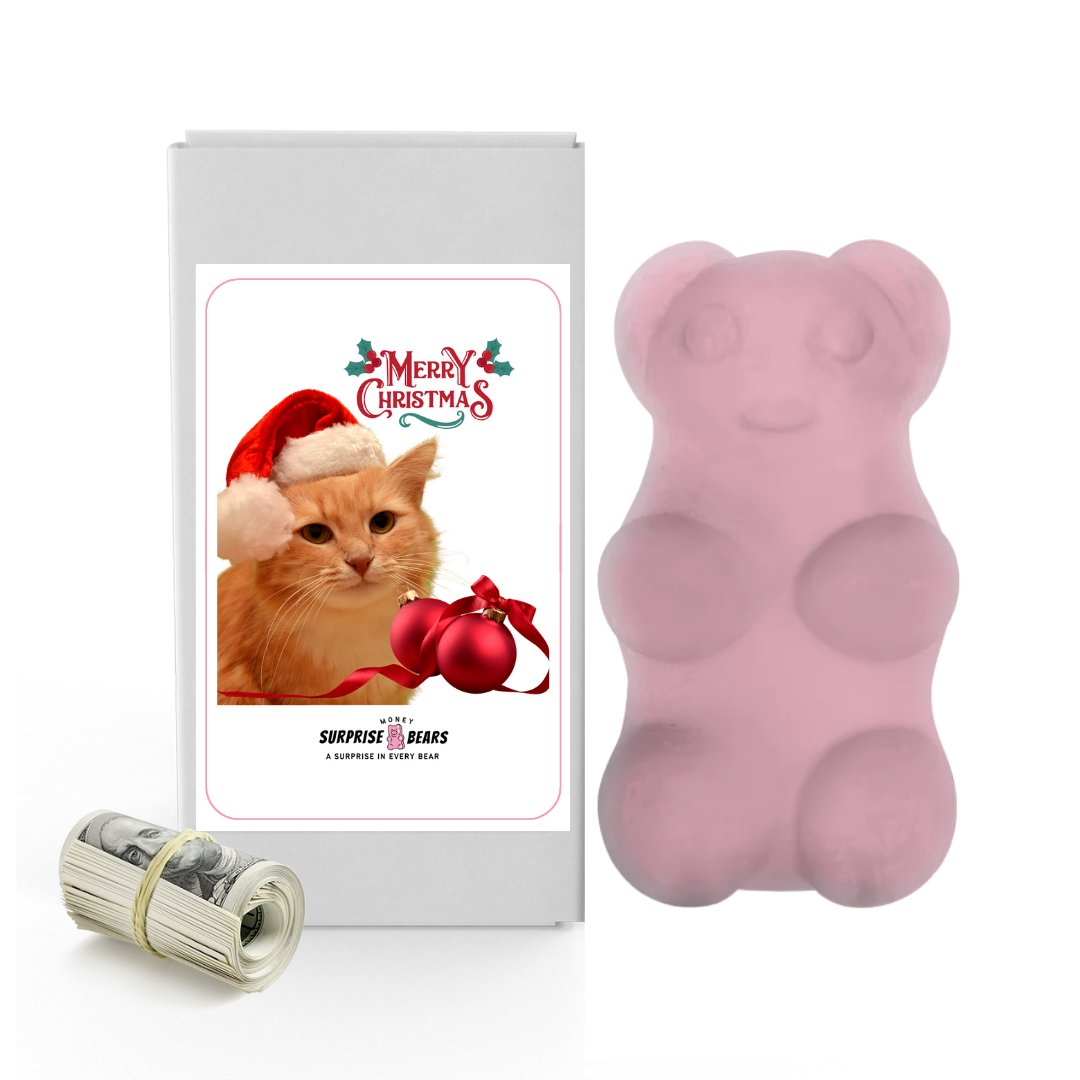 Merry Christmas Cat | Christmas Surprise Cash Bears