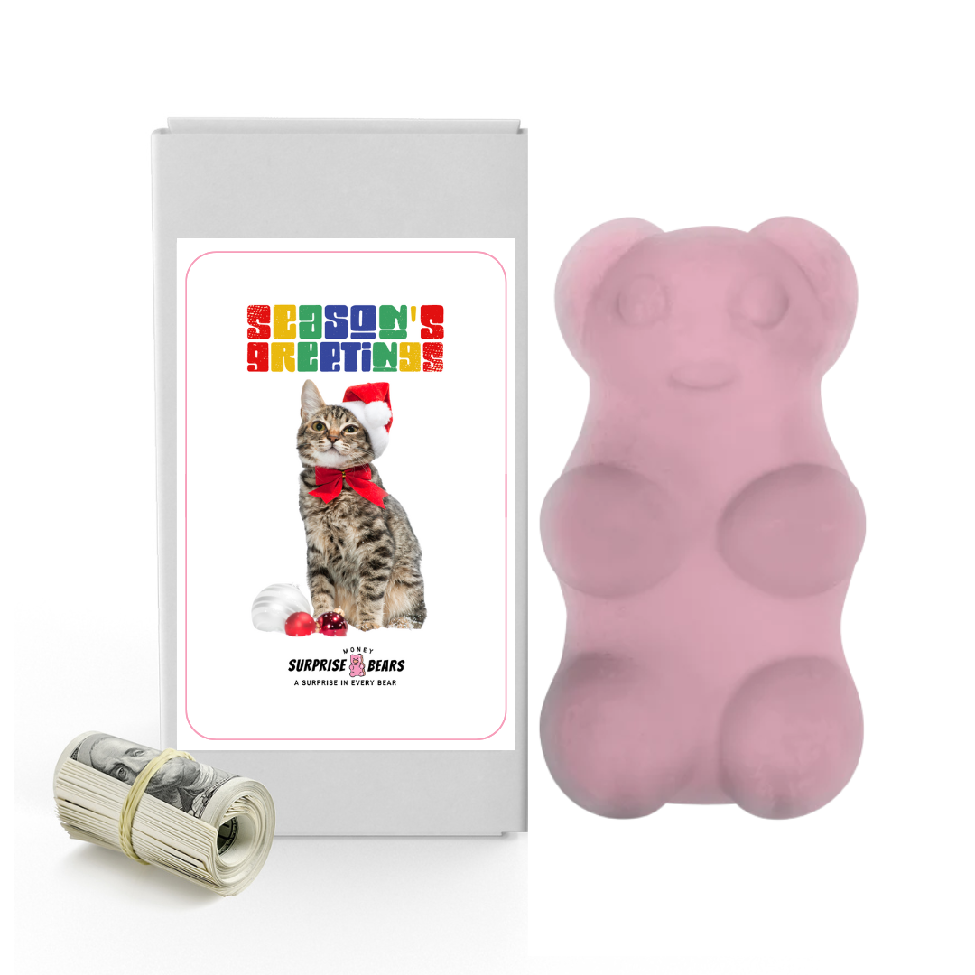 Season's Greetings | Christmas Surprise Cash Bears