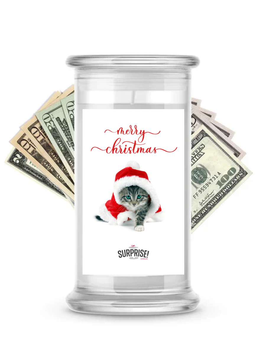 Merry Christmas Cat 2 | Christmas Surprise Cash Candles