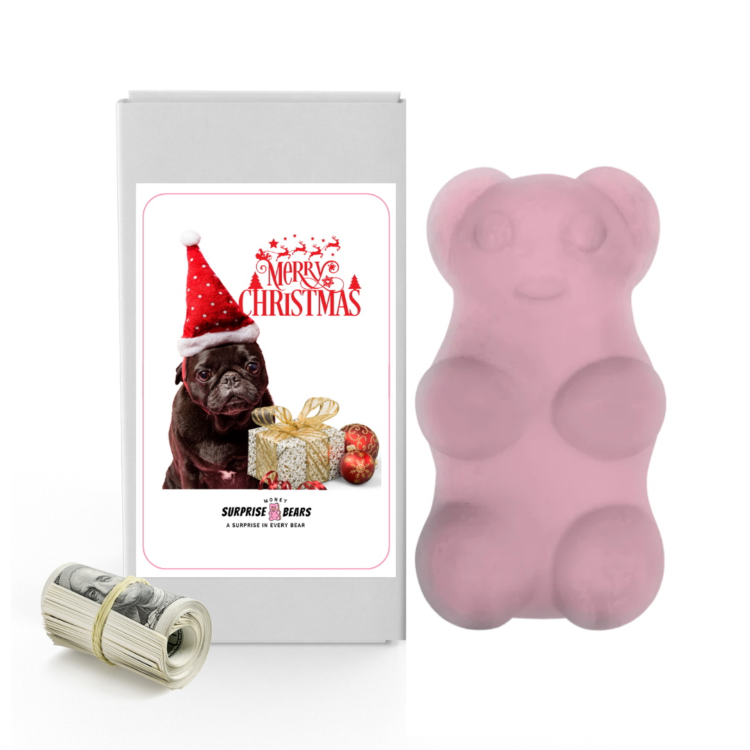 Merry Christmas Dog 8 | Christmas Surprise Cash Bears