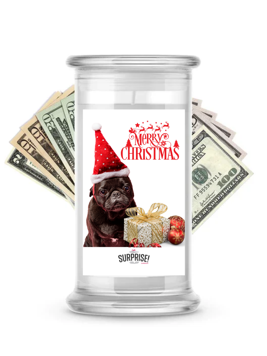 Merry Christmas Dog 8 | Christmas Surprise Cash Candles