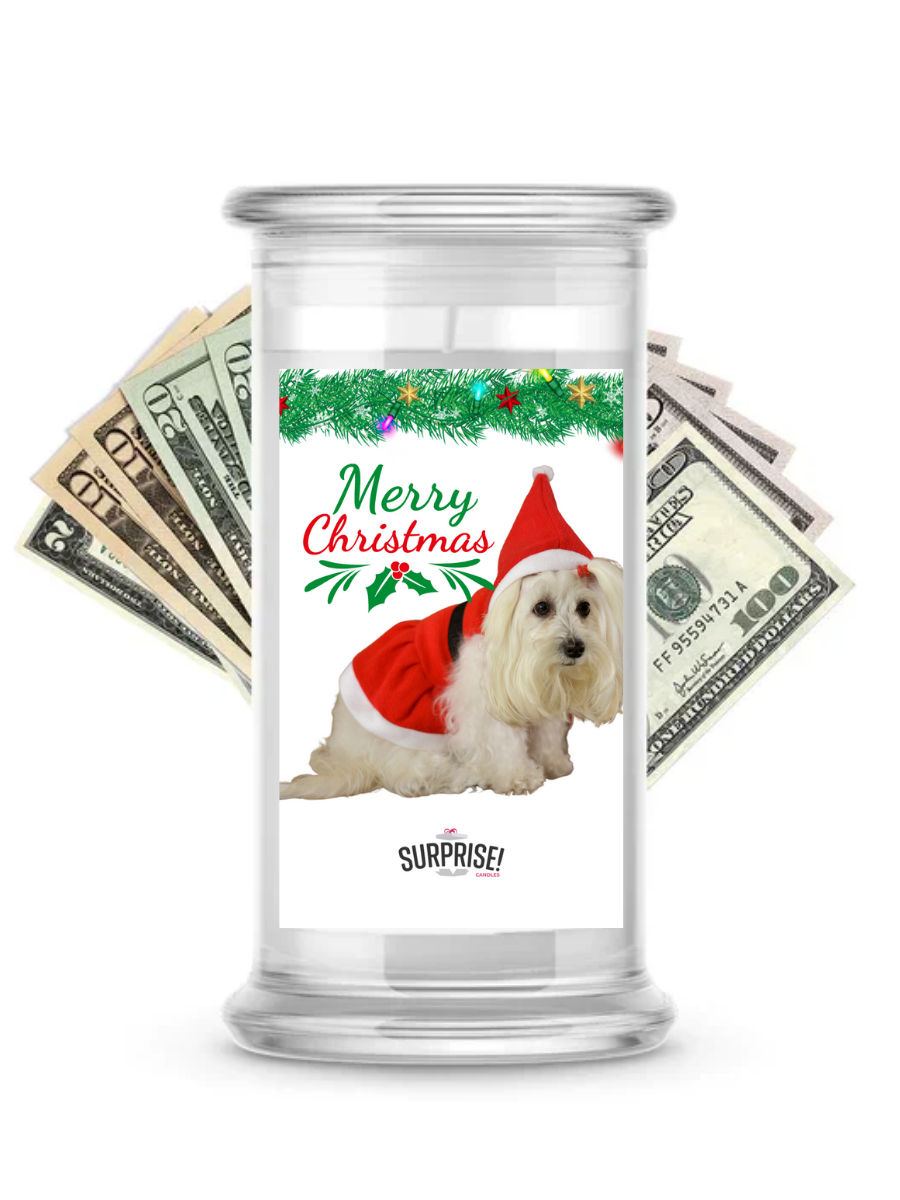 Merry Christmas Dog 9 | Christmas Surprise Cash Candles