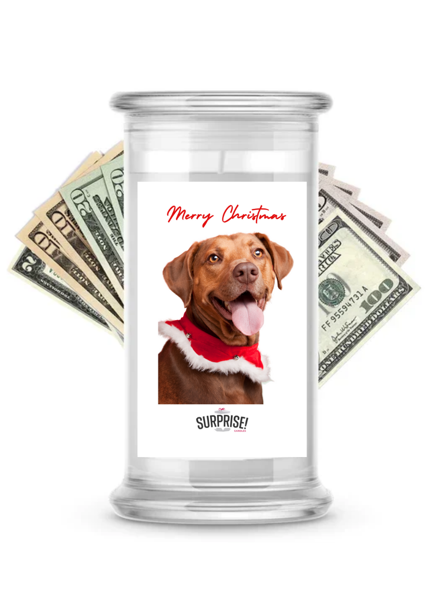 Merry Christmas Dog 10 | Christmas Surprise Cash Candles