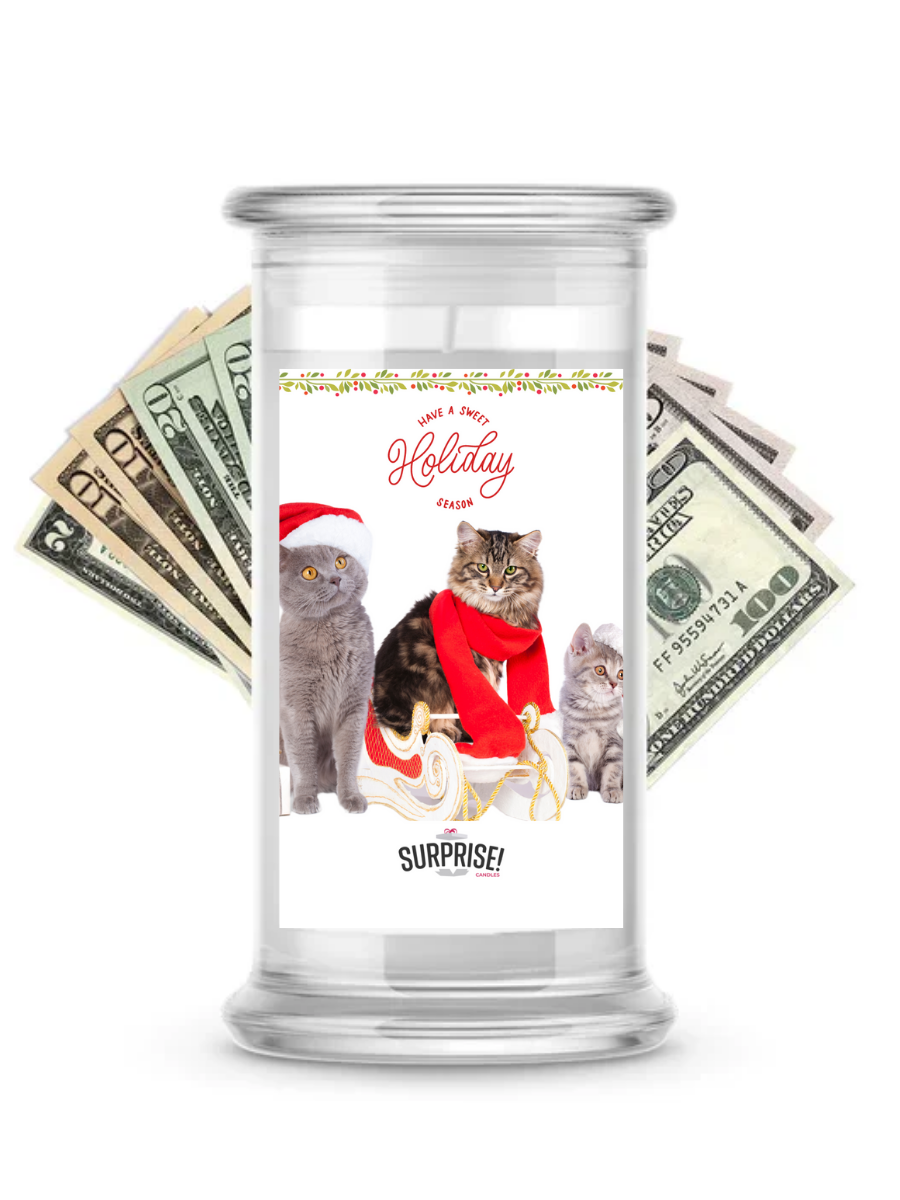 Have a Sweet Holiday Season  | Christmas Surprise Cash Candles