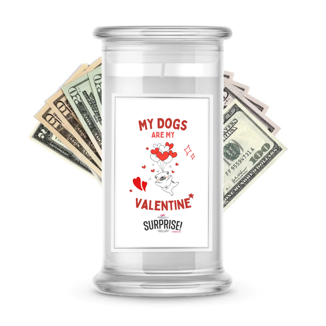 My Dogs are My Valentine | Valentine's Day Surprise Cash Candles