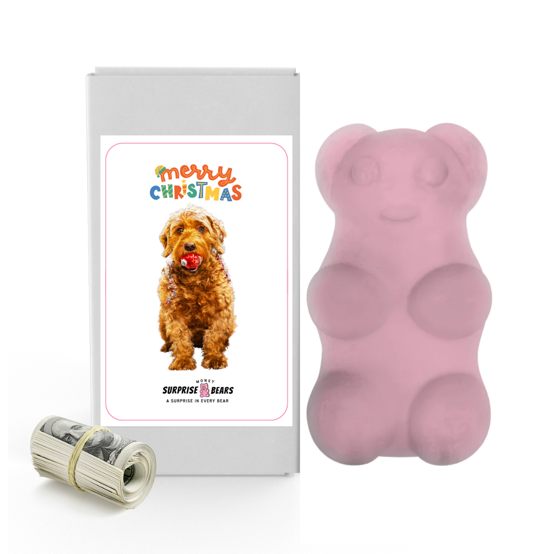 Merry Christmas Dog | Christmas Surprise Cash Bears