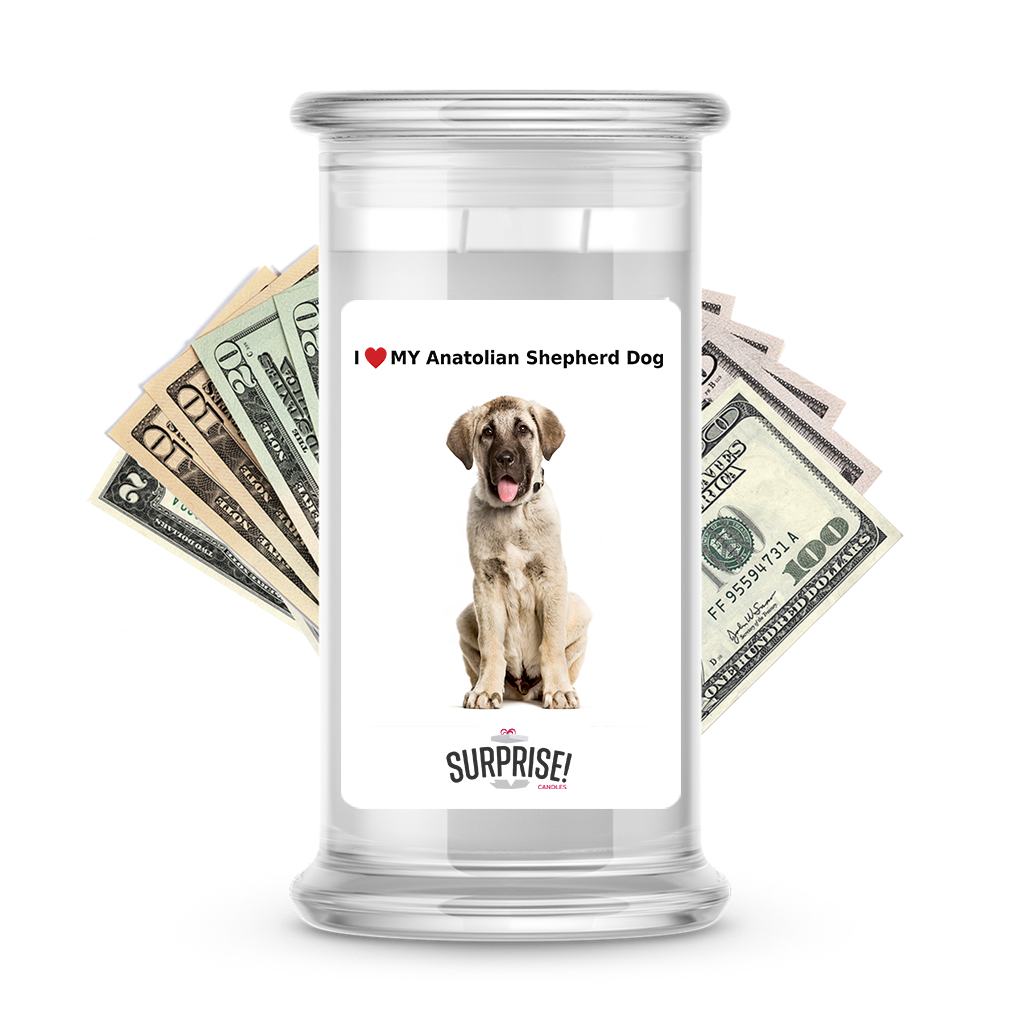 I ❤️ My Anatolian shepherd dog | Dog Surprise Cash Candles