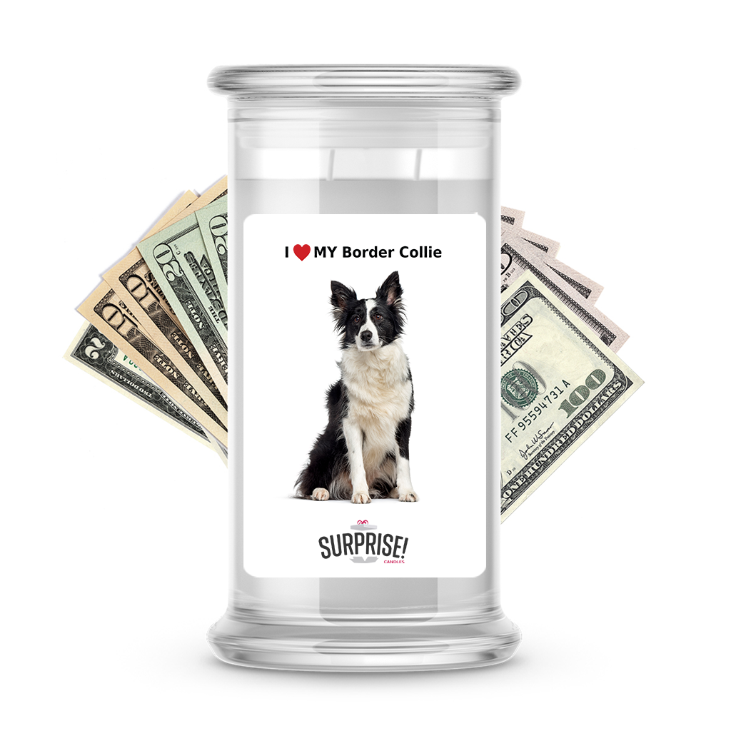 I ❤️ My Border collie | Dog Surprise Cash Candles