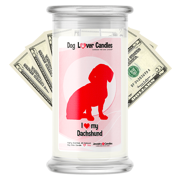 Dachshund Dog Lover Cash Candle