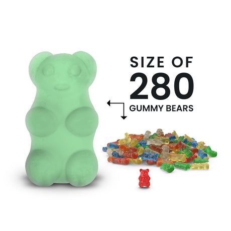 Amazon Rainforest GIANT Jewelry Surprise Bear