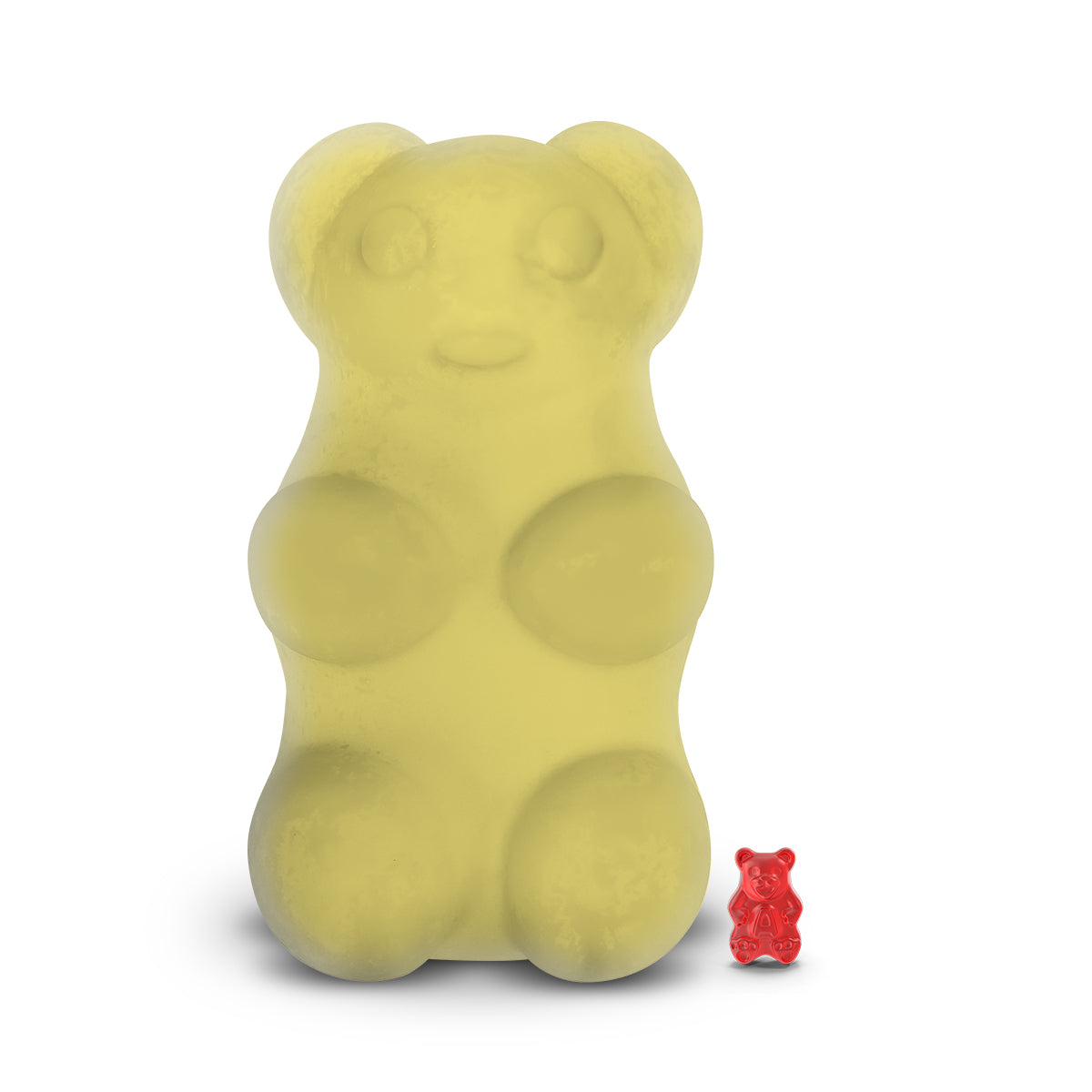 Unscented GIANT Cash Money Surprise Bear